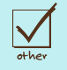 option_other
